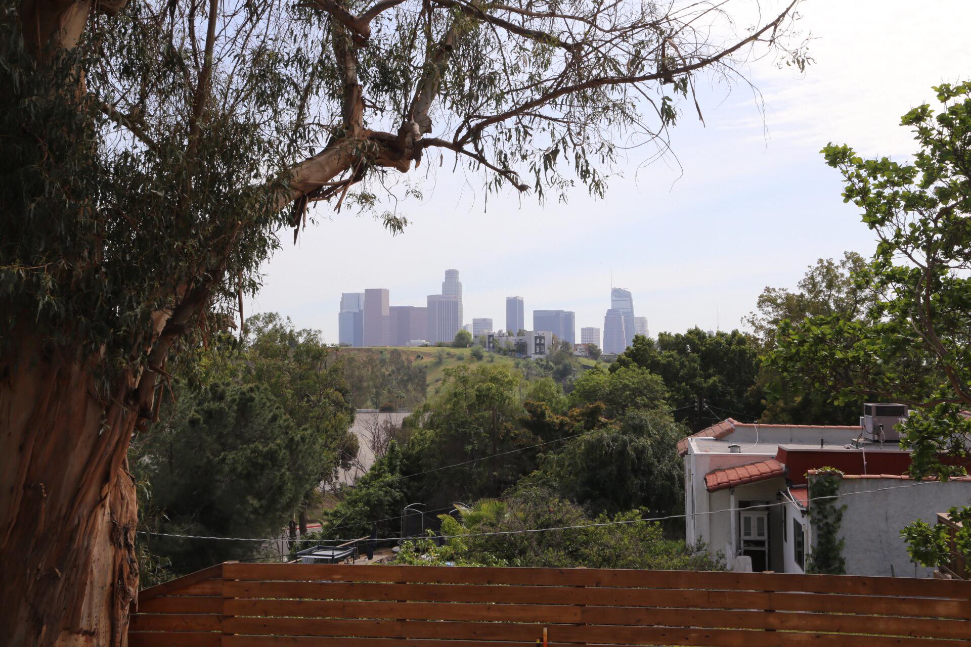 Echo Park, Bungalow, Modern, ACME, Real Estate, NELA