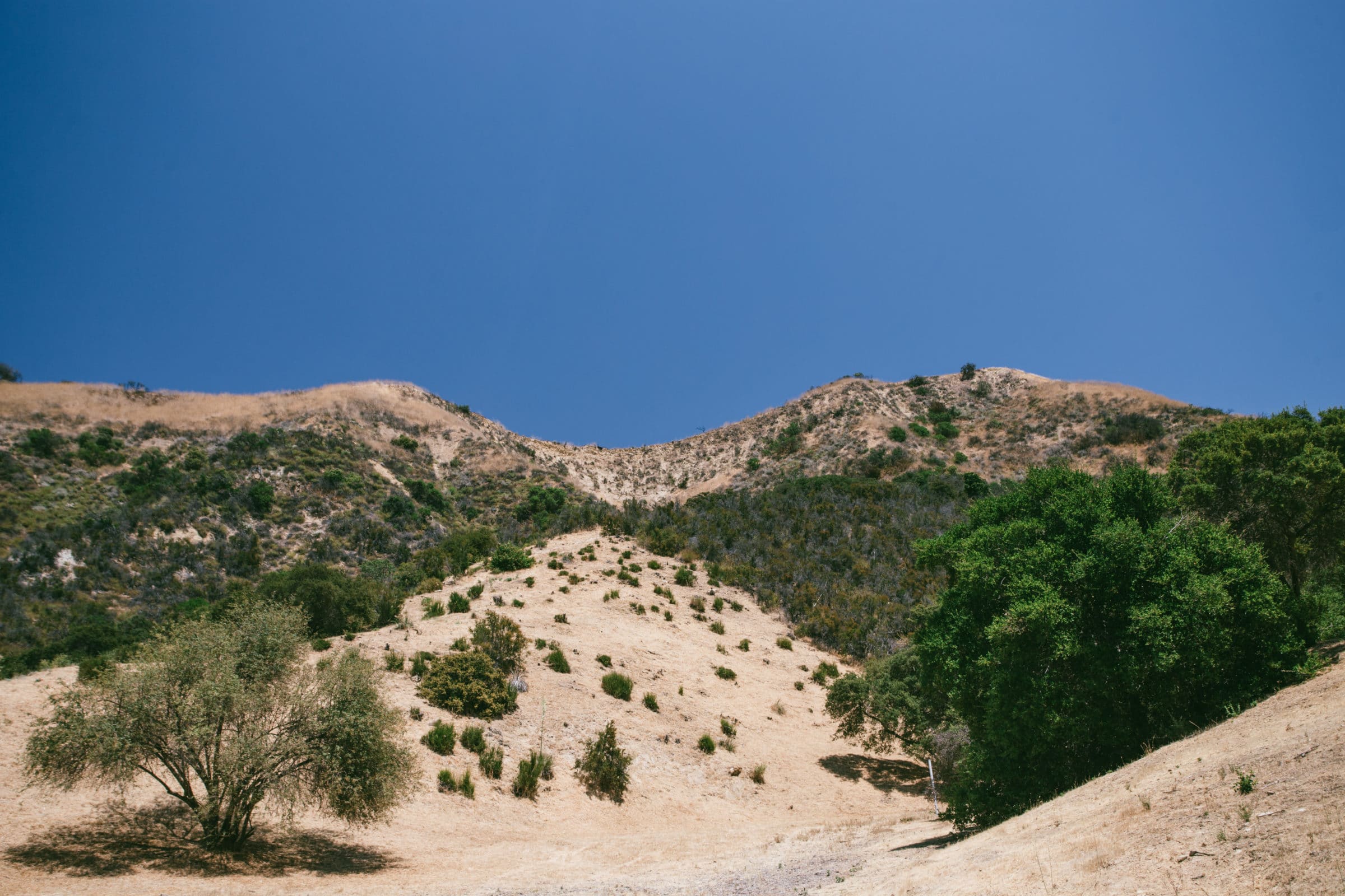 topanga, canyon, acme, real estate, silke fernald