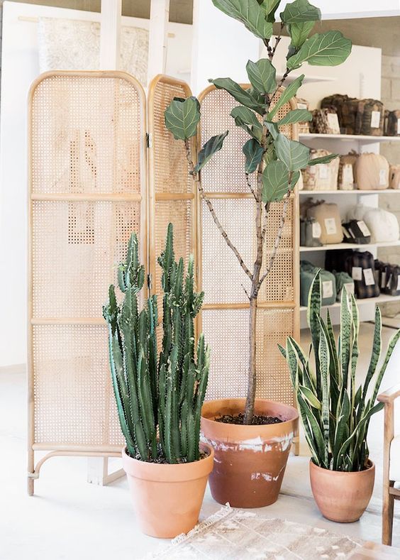 acme real estate interior blog wicker backet ratan los angeles