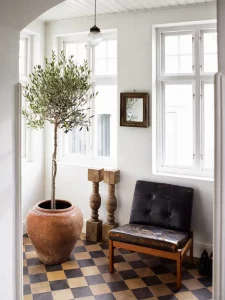 olive tree, mediterranean plant, spanish revival